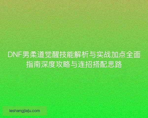 DNF男柔道觉醒技能解析与实战加点全面指南深度攻略与连招搭配思路